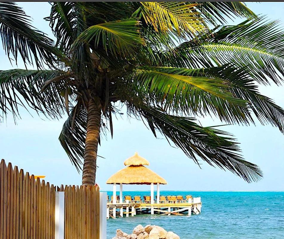 Velento Beach Level #9 库尔克岛 外观 照片